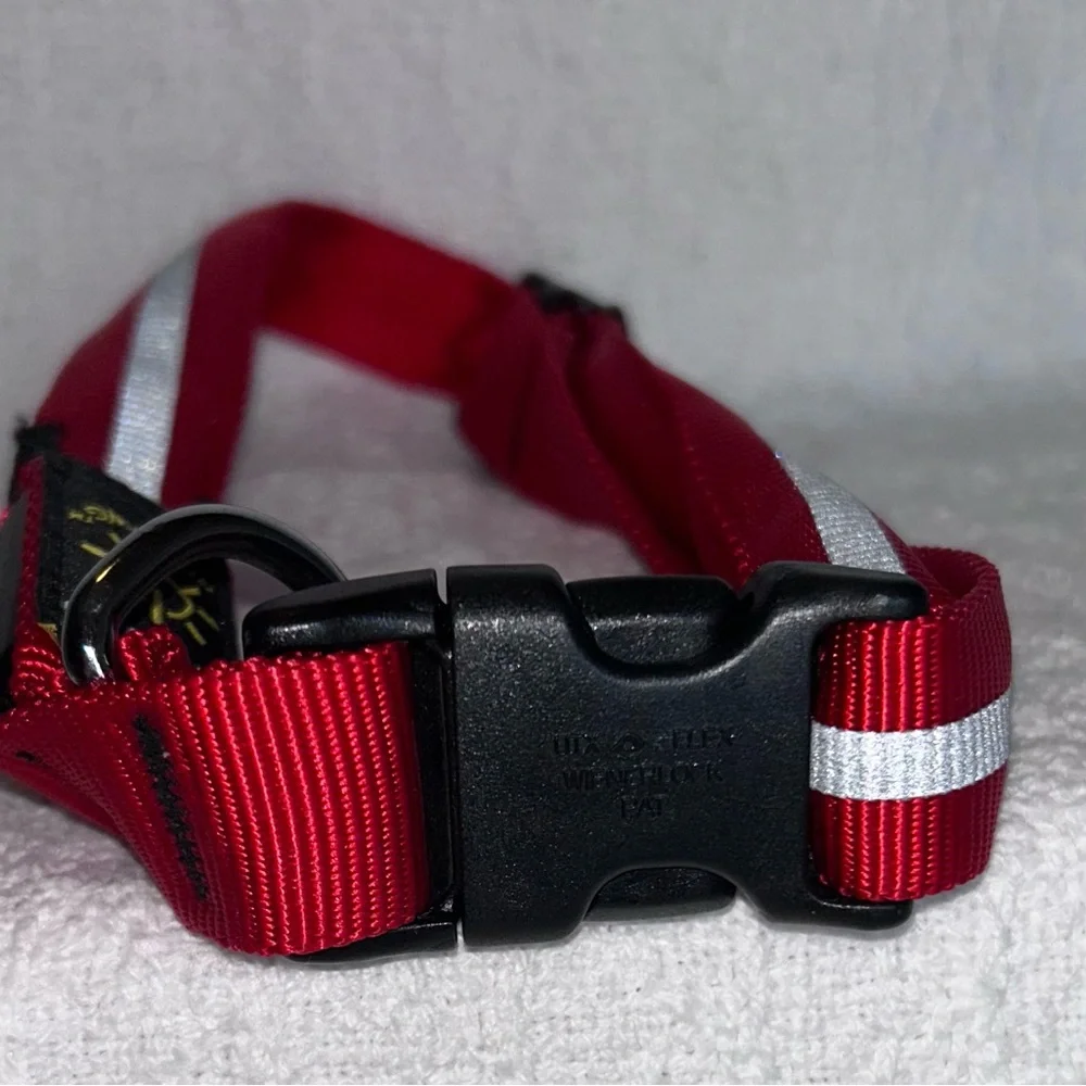 Nite Dawg Light up dog collar red large
